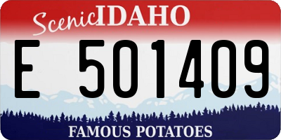ID license plate E501409