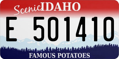 ID license plate E501410