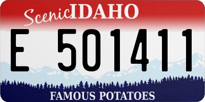 ID license plate E501411