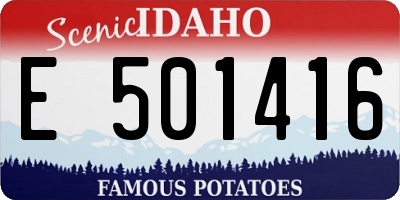 ID license plate E501416