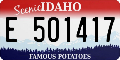 ID license plate E501417