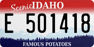 ID license plate E501418