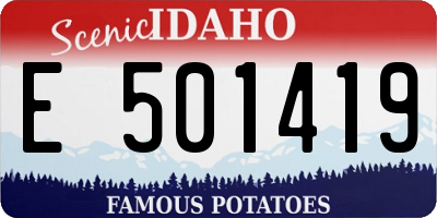 ID license plate E501419