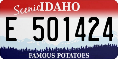 ID license plate E501424