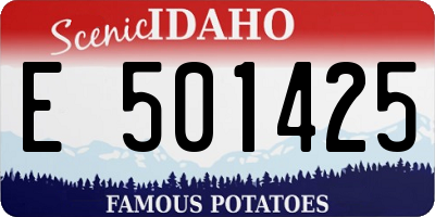 ID license plate E501425