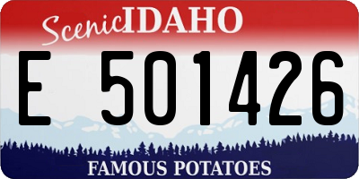 ID license plate E501426