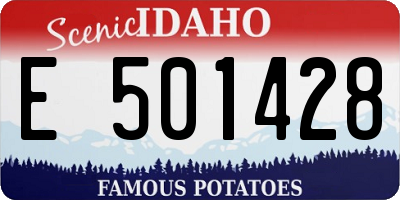 ID license plate E501428