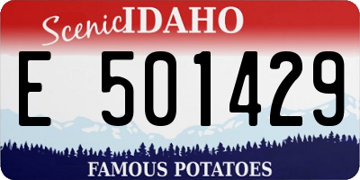 ID license plate E501429