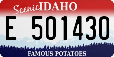 ID license plate E501430