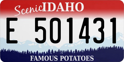 ID license plate E501431
