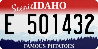 ID license plate E501432
