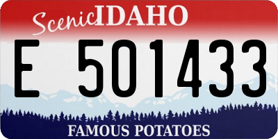 ID license plate E501433