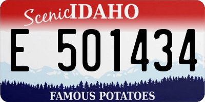 ID license plate E501434