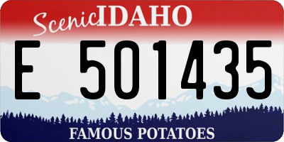 ID license plate E501435