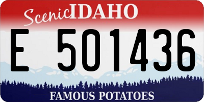 ID license plate E501436