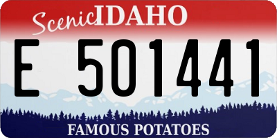 ID license plate E501441