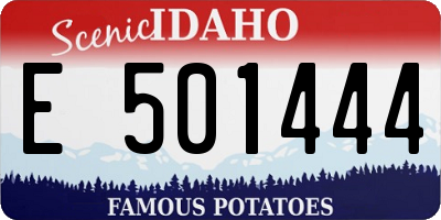 ID license plate E501444