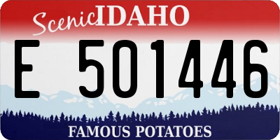 ID license plate E501446