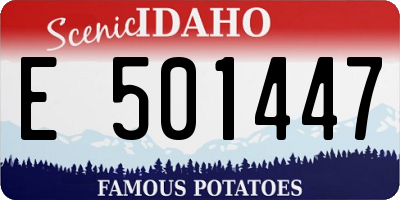 ID license plate E501447