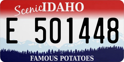 ID license plate E501448