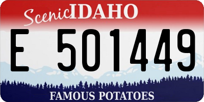 ID license plate E501449