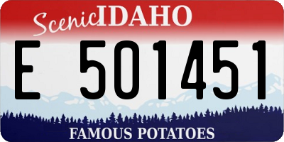 ID license plate E501451