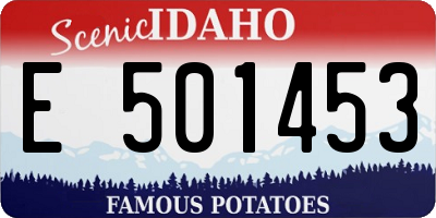 ID license plate E501453