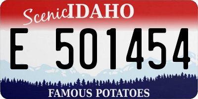 ID license plate E501454