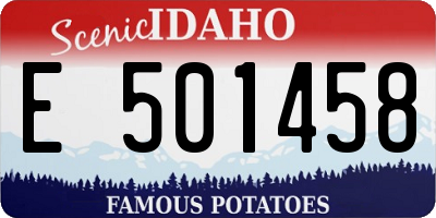ID license plate E501458
