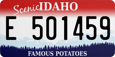 ID license plate E501459
