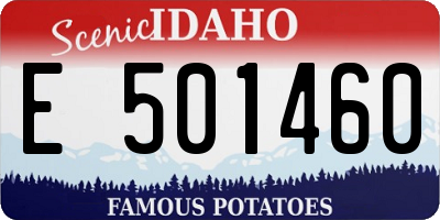 ID license plate E501460