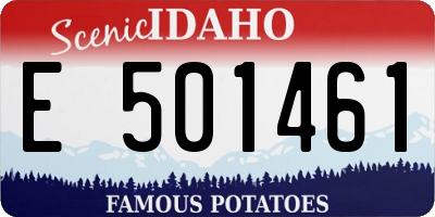 ID license plate E501461