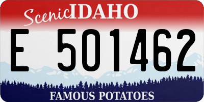 ID license plate E501462