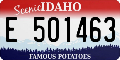 ID license plate E501463