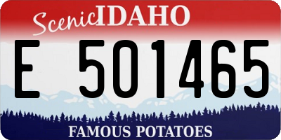 ID license plate E501465