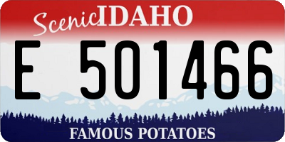ID license plate E501466
