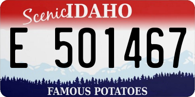 ID license plate E501467