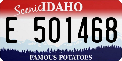 ID license plate E501468
