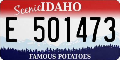 ID license plate E501473