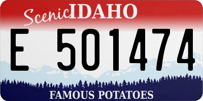 ID license plate E501474