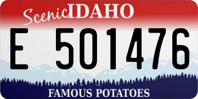 ID license plate E501476
