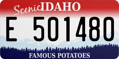 ID license plate E501480