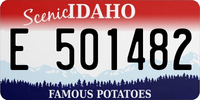 ID license plate E501482