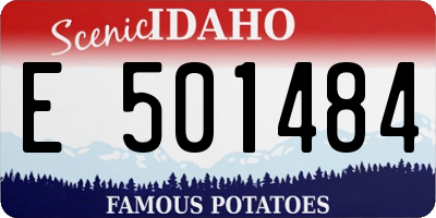 ID license plate E501484