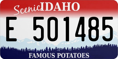 ID license plate E501485