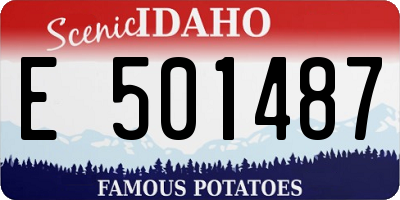ID license plate E501487