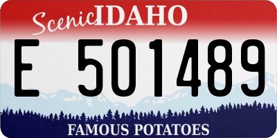 ID license plate E501489