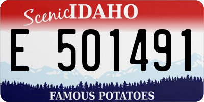 ID license plate E501491