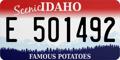 ID license plate E501492
