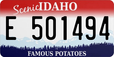 ID license plate E501494